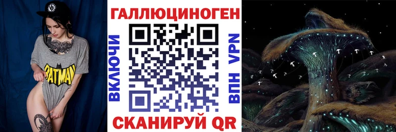 купить наркоту  Кубинка  мега ONION  Псилоцибиновые грибы GOLDEN TEACHER 